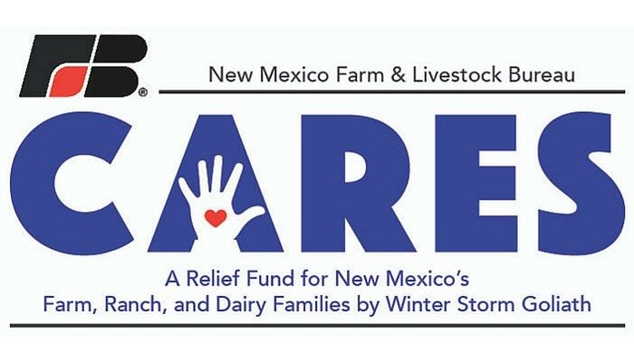 NMF&LB establishes Cares Relief Fund for those affected by Winter Storm Goliath